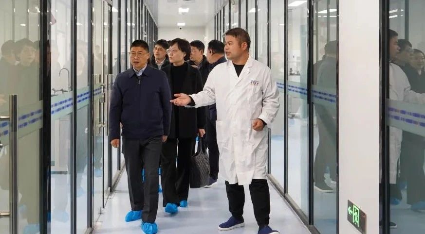 南宫NG·28(中国)最新官方网站